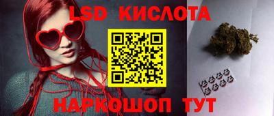 Альфа ПВП Дубна