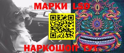 Альфа ПВП Дубна