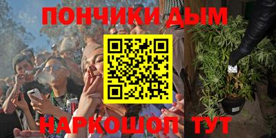 Альфа ПВП Дубна