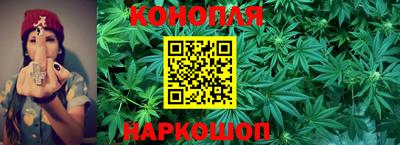 Альфа ПВП Дубна